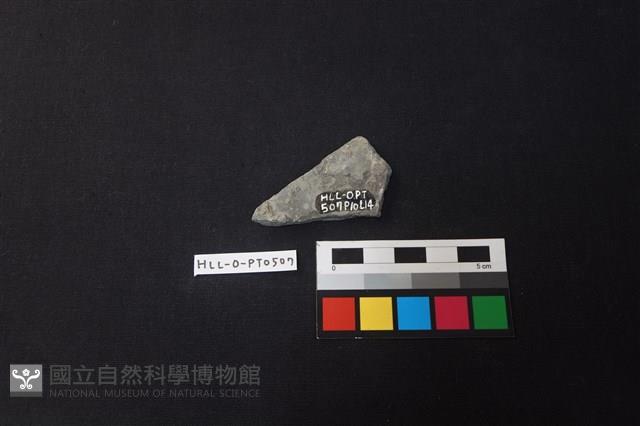 陶片藏品圖，第2張