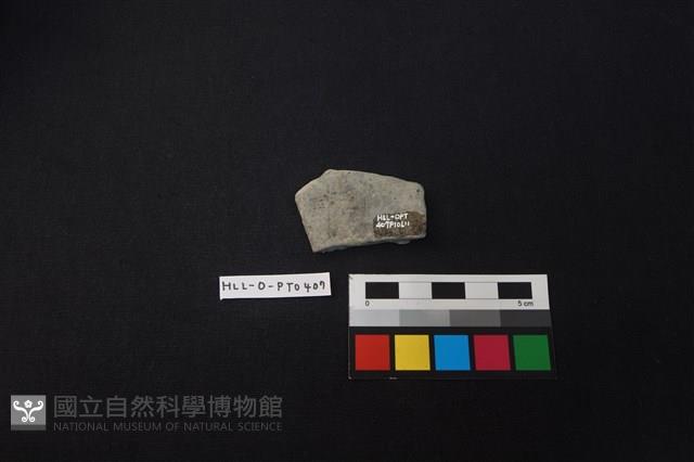 陶片藏品圖，第2張