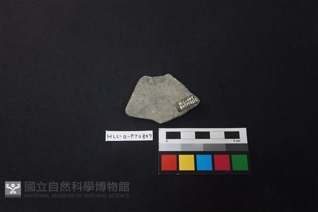 陶片藏品圖，第2張