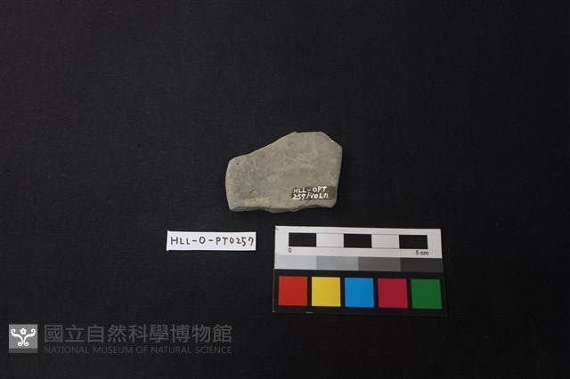 陶片藏品圖，第2張