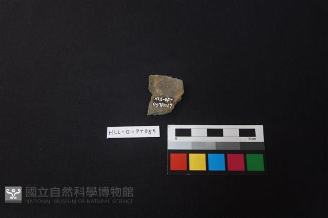 陶片藏品圖，第2張