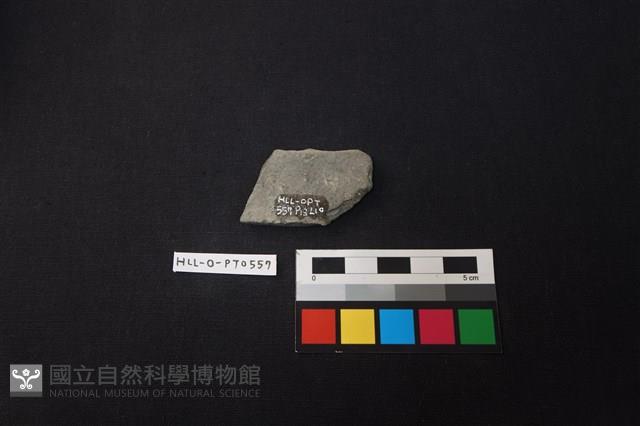 陶片藏品圖，第2張