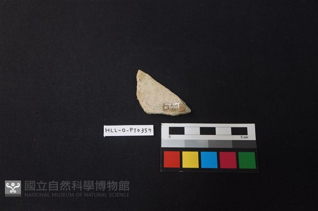 陶片藏品圖，第2張