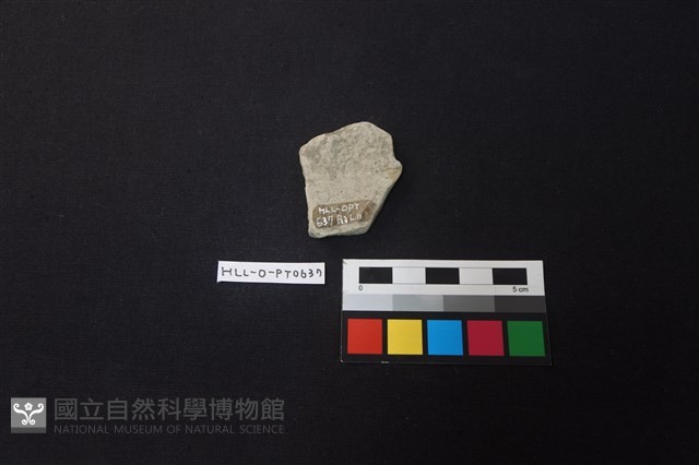 陶片藏品圖，第2張