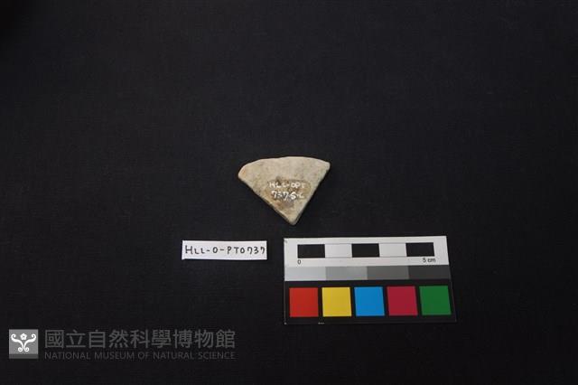 Accession Number:HLL-O-PT0737 Collection Image, Figure 2, Total 2 Figures