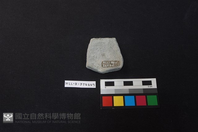陶片藏品圖，第2張