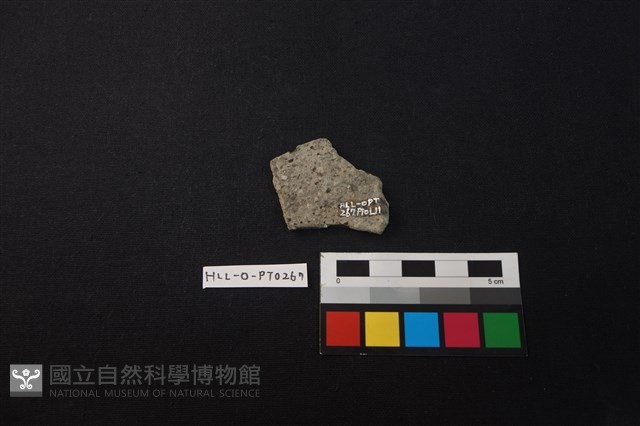 陶片藏品圖，第2張