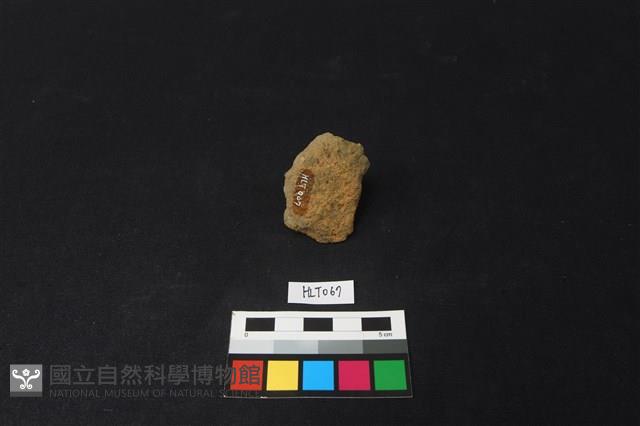 陶蓋鈕藏品圖，第2張