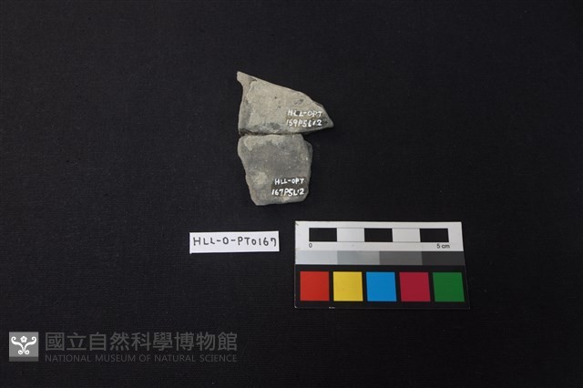 陶片藏品圖，第2張