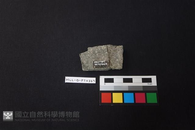 陶片藏品圖，第2張