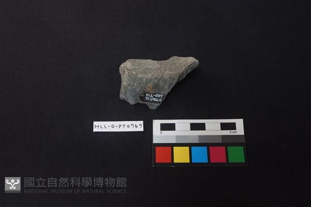 陶片藏品圖，第2張