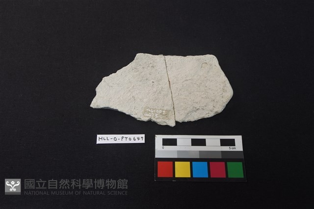 陶片藏品圖，第2張
