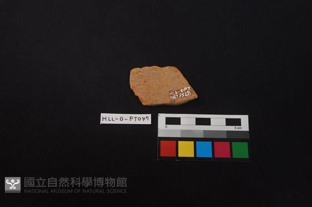 Accession Number:HLL-O-PT0047 Collection Image, Figure 2, Total 2 Figures