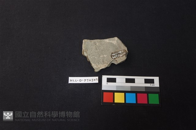 陶片藏品圖，第2張