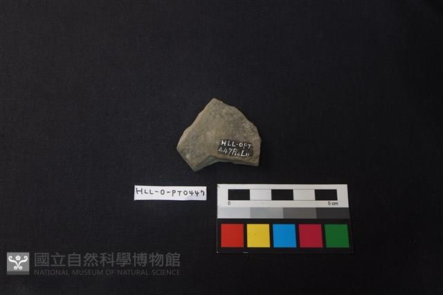 陶片藏品圖，第2張