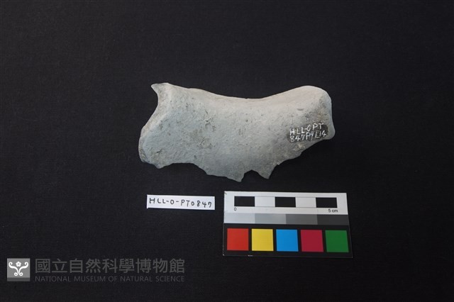 陶片藏品圖，第2張