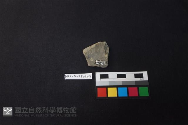 陶片藏品圖，第2張