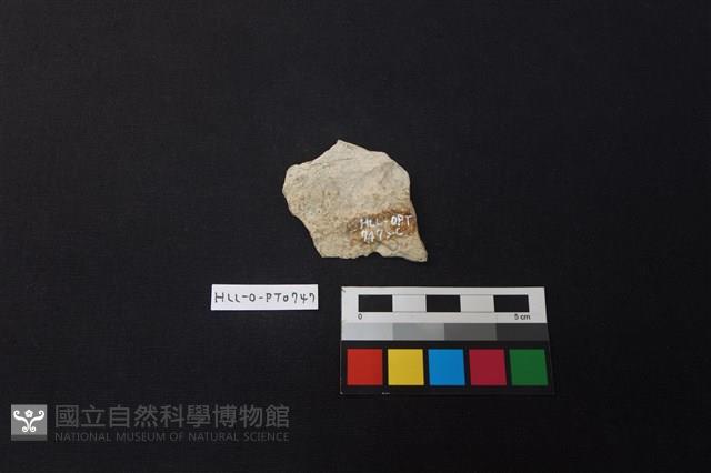 陶片藏品圖，第2張