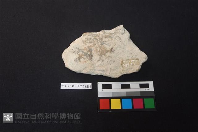 陶片藏品圖，第2張