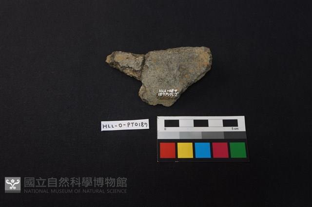 陶片藏品圖，第2張