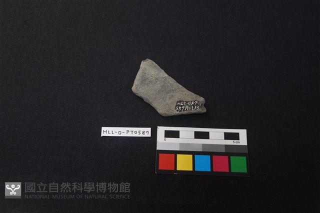 陶片藏品圖，第2張