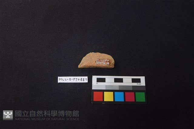 陶片藏品圖，第2張