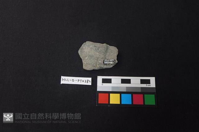 陶片藏品圖，第2張