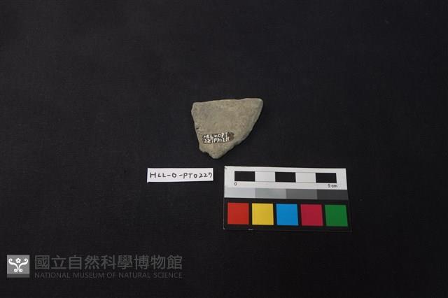 陶片藏品圖，第2張