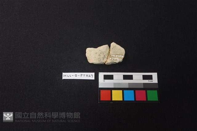 陶片藏品圖，第2張