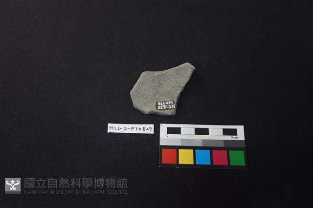 陶片藏品圖，第2張