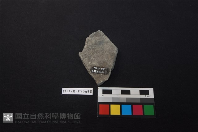 陶片藏品圖，第2張