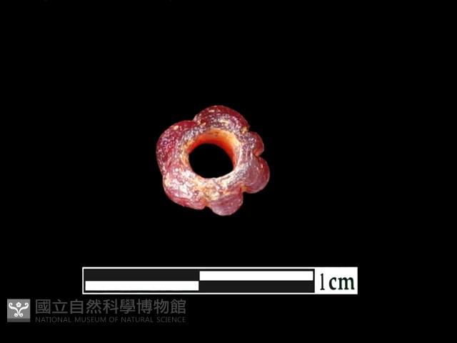 玻璃珠藏品圖，第2張