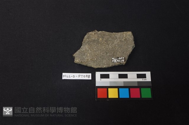 陶片藏品圖，第2張