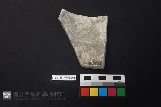 陶片藏品圖，第2張