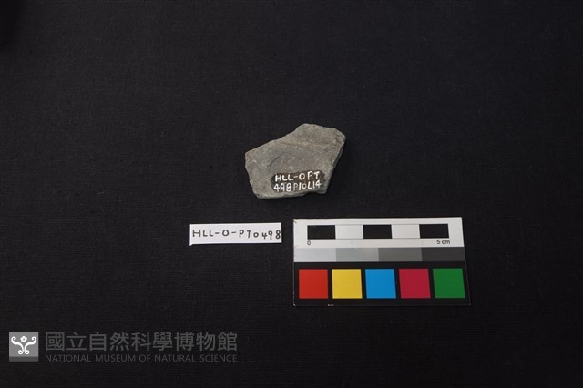 陶片藏品圖，第2張