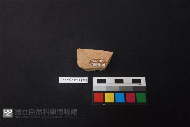 陶片藏品圖，第2張