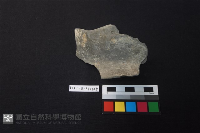 陶片藏品圖，第2張