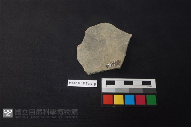 陶片藏品圖，第2張