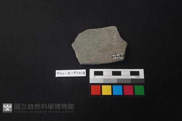 陶片藏品圖，第2張