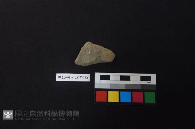 陶片藏品圖，第2張