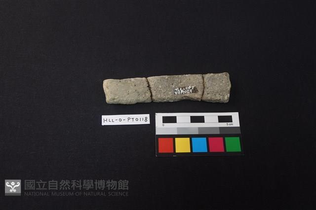 陶片藏品圖，第2張