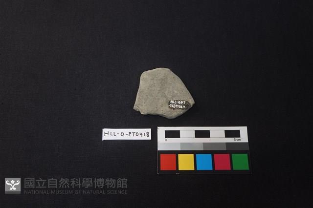 陶片藏品圖，第2張