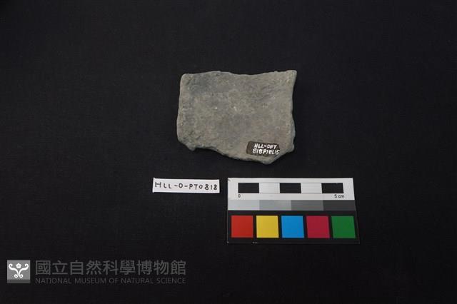 陶片藏品圖，第2張