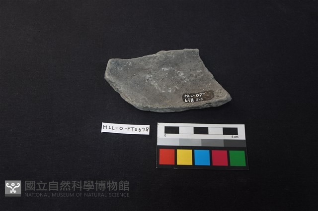 陶片藏品圖，第2張