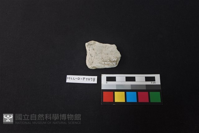 陶片藏品圖，第2張