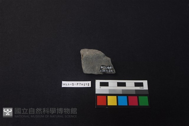 陶片藏品圖，第2張