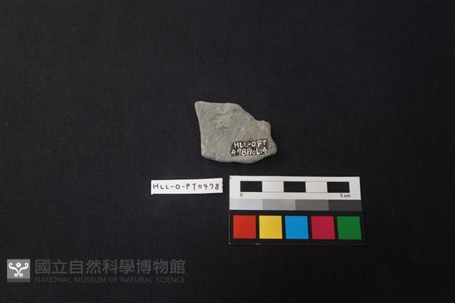 陶片藏品圖，第2張