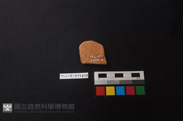 陶片藏品圖，第2張