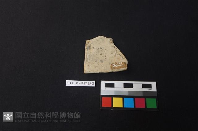 陶片藏品圖，第2張