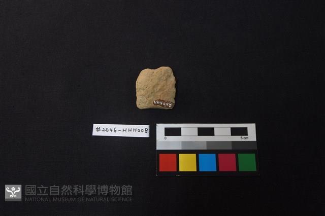 陶片藏品圖，第2張